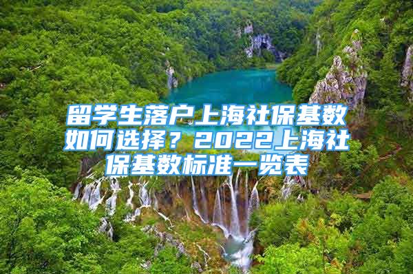 留学生落户上海社保基数如何选择？2022上海社保基数标准一览表