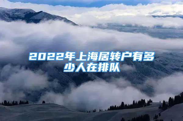 2022年上海居转户有多少人在排队