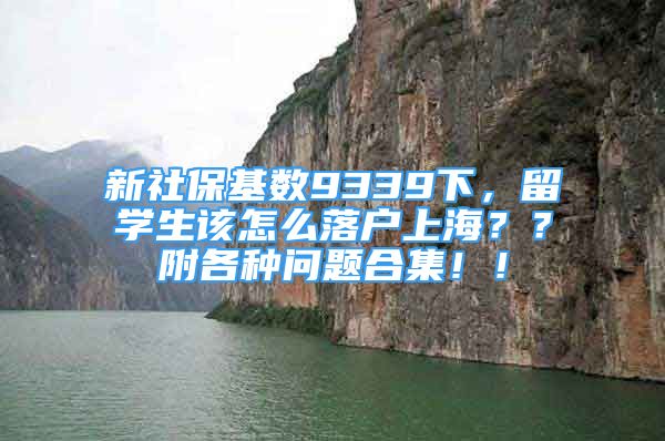 新社保基数9339下，留学生该怎么落户上海？？附各种问题合集！！