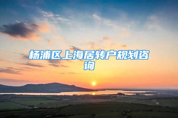 杨浦区上海居转户规划咨询