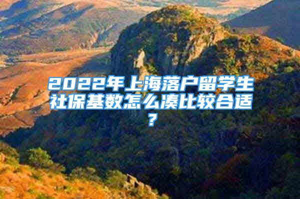 2022年上海落户留学生社保基数怎么凑比较合适？