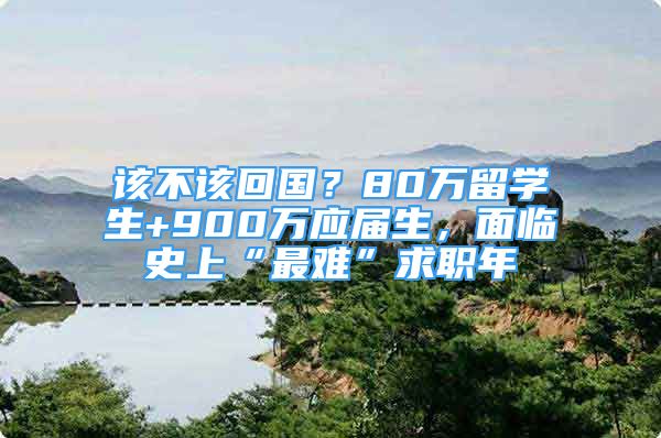 该不该回国？80万留学生+900万应届生，面临史上“最难”求职年