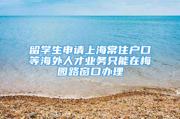 留学生申请上海常住户口等海外人才业务只能在梅园路窗口办理