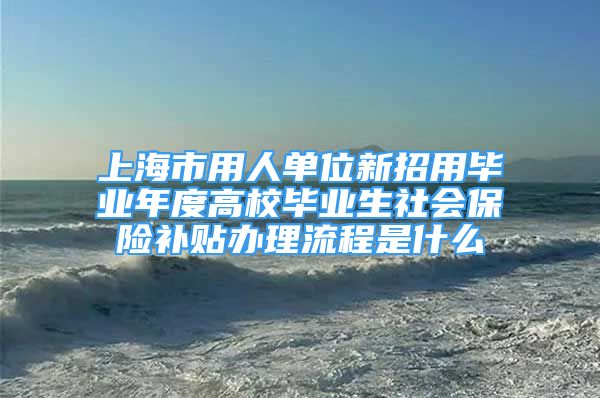 上海市用人单位新招用毕业年度高校毕业生社会保险补贴办理流程是什么