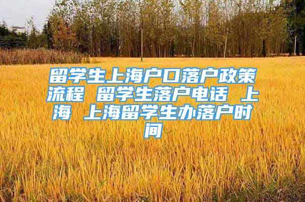 留学生上海户口落户政策流程 留学生落户电话 上海 上海留学生办落户时间