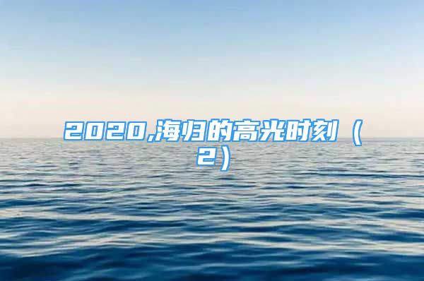 2020,海归的高光时刻（2）