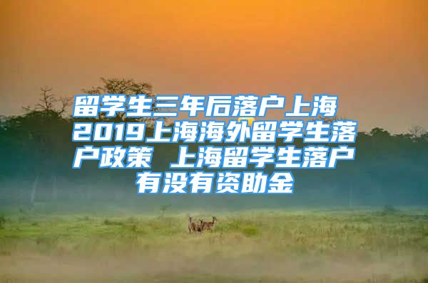 留学生三年后落户上海 2019上海海外留学生落户政策 上海留学生落户有没有资助金