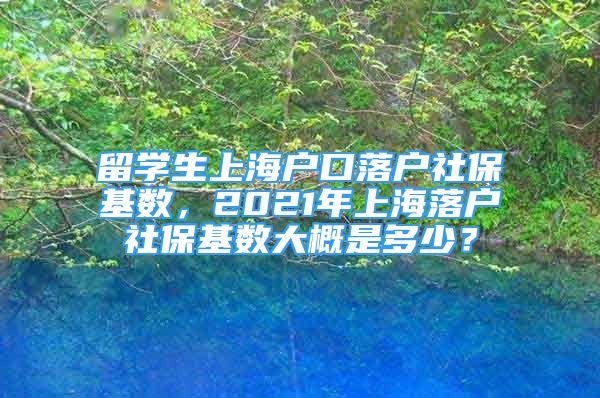 留学生上海户口落户社保基数，2021年上海落户社保基数大概是多少？