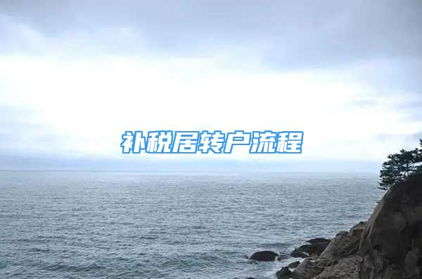 补税居转户流程