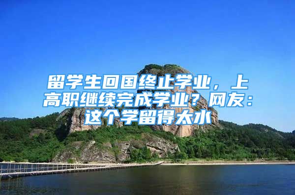 留学生回国终止学业，上高职继续完成学业？网友：这个学留得太水