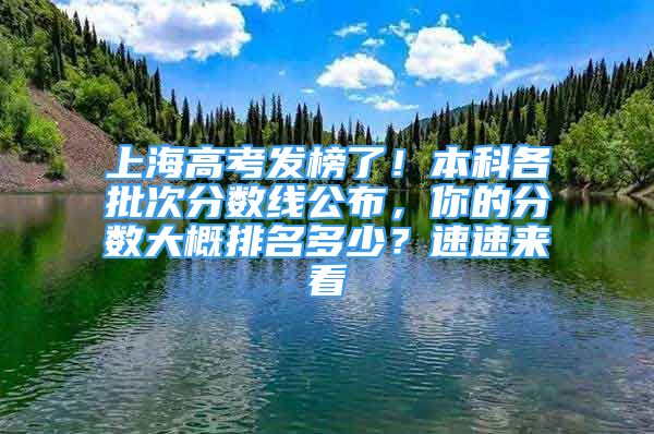 上海高考发榜了！本科各批次分数线公布，你的分数大概排名多少？速速来看→