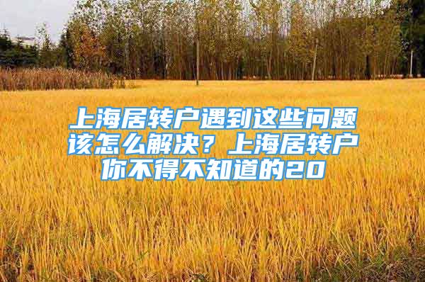 上海居转户遇到这些问题该怎么解决？上海居转户你不得不知道的20