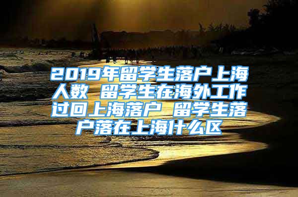 2019年留学生落户上海人数 留学生在海外工作过回上海落户 留学生落户落在上海什么区