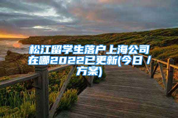 松江留学生落户上海公司在哪2022已更新(今日／方案)