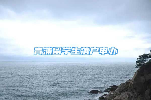 青浦留学生落户申办