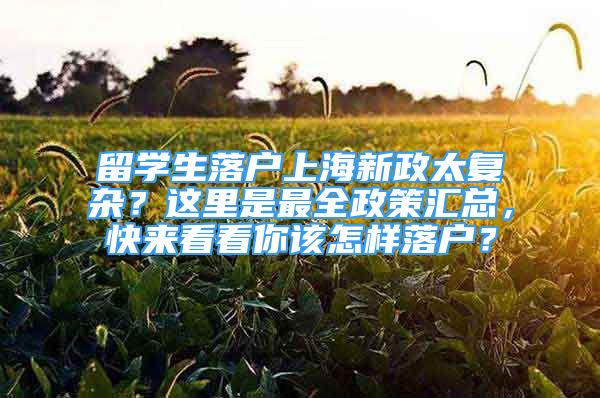 留学生落户上海新政太复杂？这里是最全政策汇总，快来看看你该怎样落户？