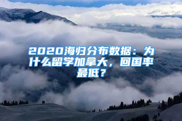 2020海归分布数据：为什么留学加拿大，回国率最低？