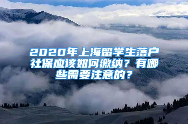 2020年上海留学生落户社保应该如何缴纳？有哪些需要注意的？