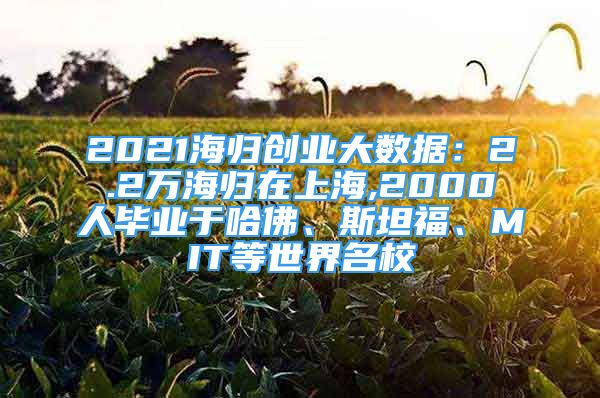 2021海归创业大数据：2.2万海归在上海,2000人毕业于哈佛、斯坦福、MIT等世界名校