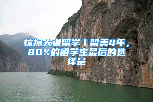 棕榈大道留学丨留美4年，80%的留学生最后的选择是