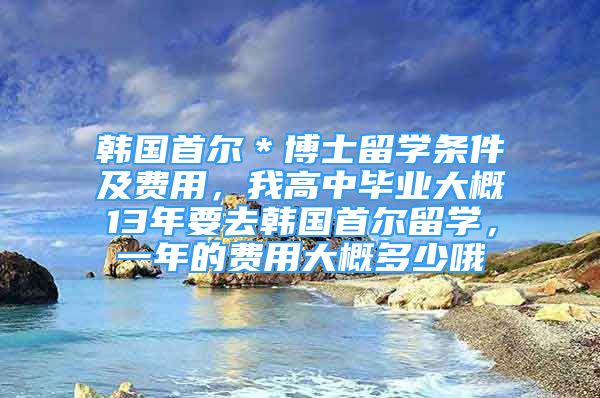 韩国首尔＊博士留学条件及费用，我高中毕业大概13年要去韩国首尔留学，一年的费用大概多少哦