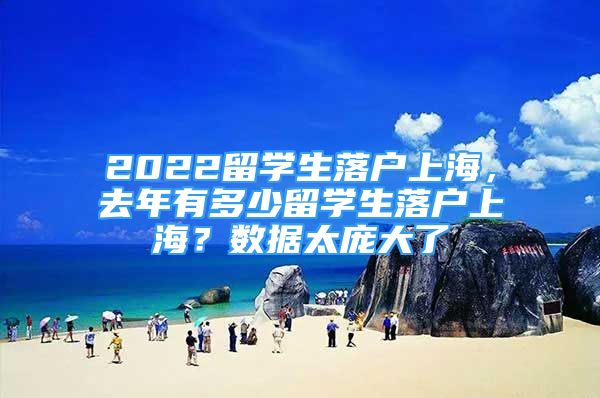 2022留学生落户上海，去年有多少留学生落户上海？数据太庞大了