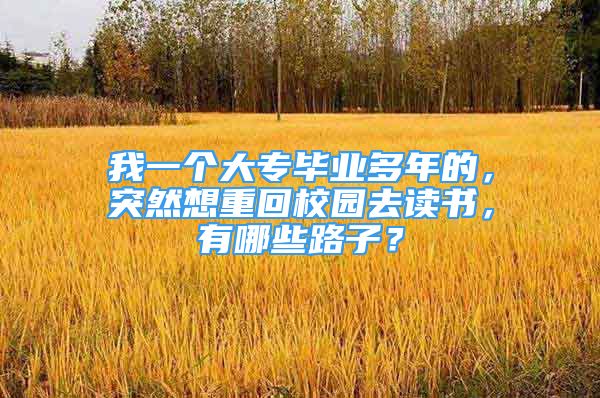 我一个大专毕业多年的，突然想重回校园去读书，有哪些路子？