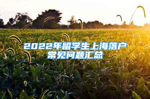 2022年留学生上海落户常见问题汇总