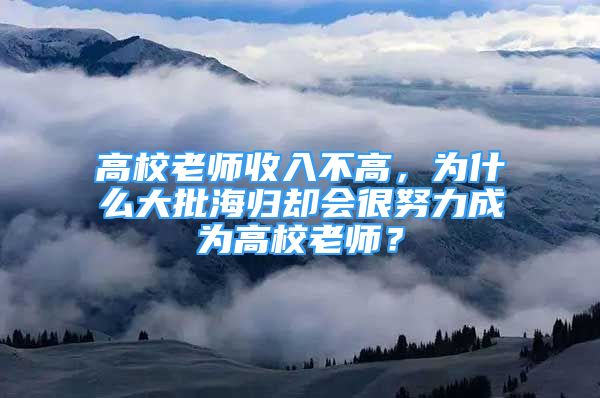 高校老师收入不高，为什么大批海归却会很努力成为高校老师？