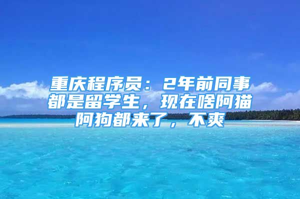 重庆程序员：2年前同事都是留学生，现在啥阿猫阿狗都来了，不爽