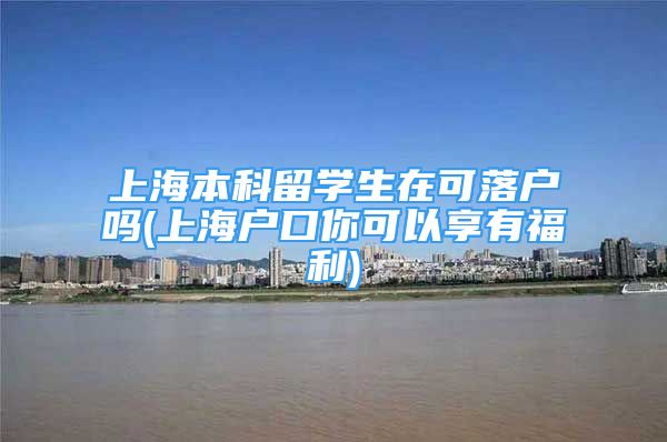 上海本科留学生在可落户吗(上海户口你可以享有福利)