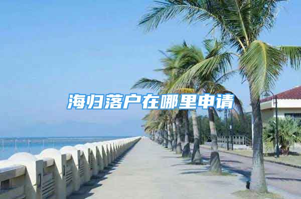 海归落户在哪里申请