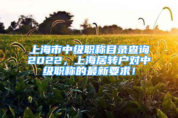 上海市中级职称目录查询2022，上海居转户对中级职称的最新要求！