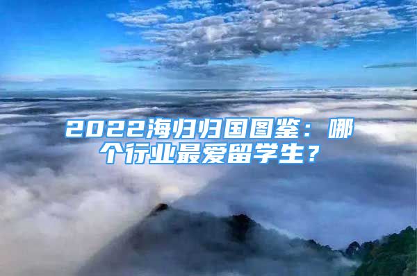 2022海归归国图鉴：哪个行业最爱留学生？