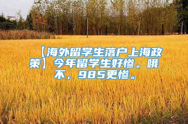 【海外留学生落户上海政策】今年留学生好惨。哦不，985更惨。