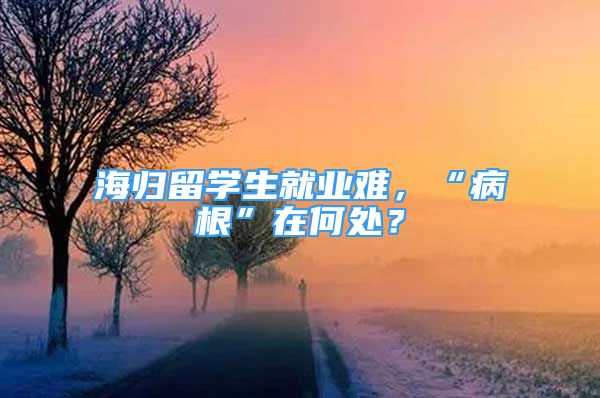 海归留学生就业难，“病根”在何处？