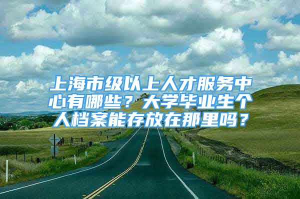 上海市级以上人才服务中心有哪些？大学毕业生个人档案能存放在那里吗？