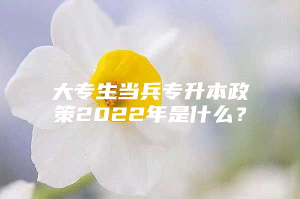 大专生当兵专升本政策2022年是什么？