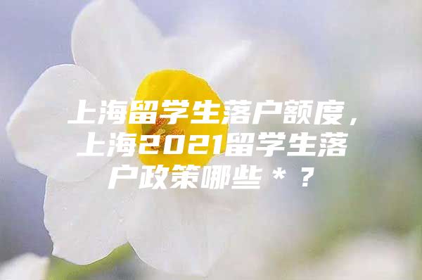 上海留学生落户额度，上海2021留学生落户政策哪些＊？