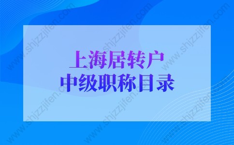 上海居转户中级职称指的是哪些？附技能职称表