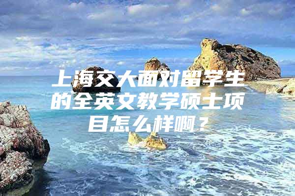 上海交大面对留学生的全英文教学硕士项目怎么样啊？