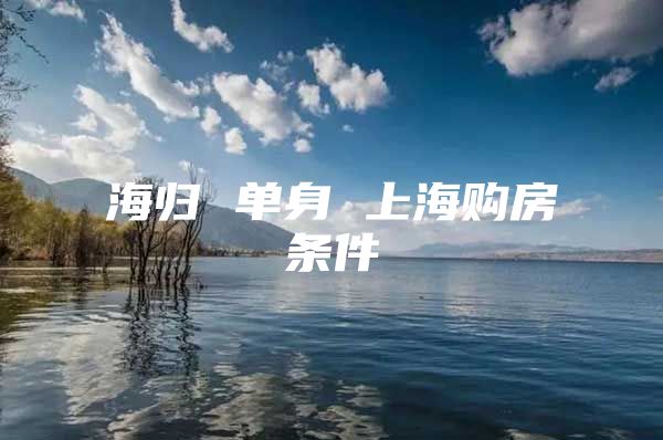 海归 单身 上海购房条件