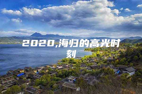 2020,海归的高光时刻