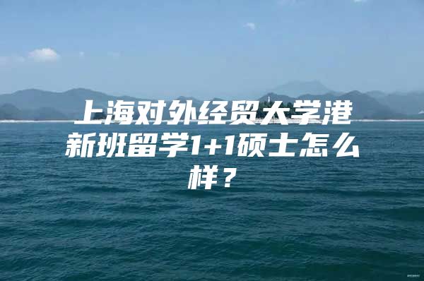 上海对外经贸大学港新班留学1+1硕士怎么样？