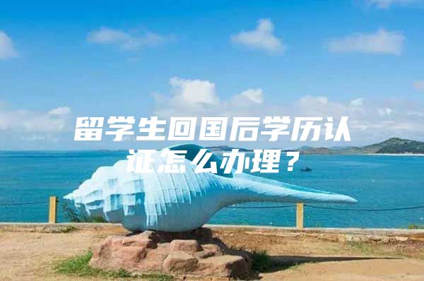 留学生回国后学历认证怎么办理？