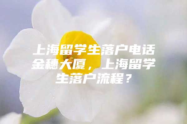 上海留学生落户电话金穗大厦，上海留学生落户流程？