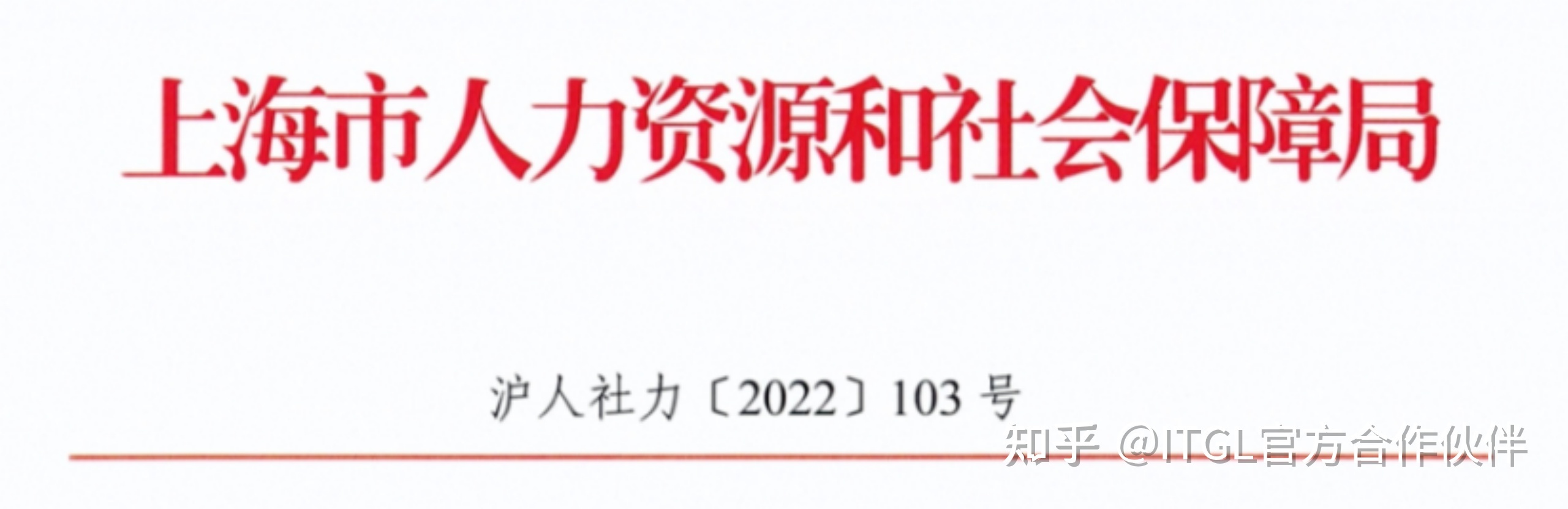 上海出台人才新政，世界TOP50名校留学生无需社保直接落户