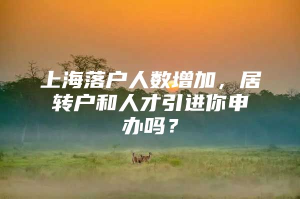 上海落户人数增加，居转户和人才引进你申办吗？