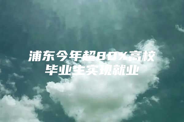 浦东今年超80%高校毕业生实现就业