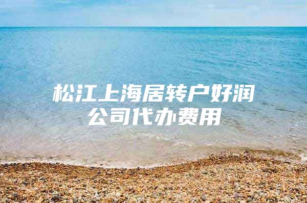 松江上海居转户好润公司代办费用